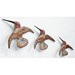 Norton Nut's Beswick - 5 Hummingbird Wall Plaques. Model Number 1023. Damaged