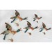 Norton Nut's Beswick - Mallard Duck Wall Plaques Full Set Of 5