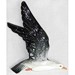 Norton Nut's Beswick - One Seagull Wall Plaque Model 922/2
