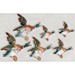 Norton Nut's Beswick - 6 Duck (Mallard) Wall Plaques. Model 596